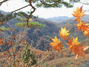 去哪购买打胎药海南吃完打胎药视频(怀孕吃堕胎药视频)